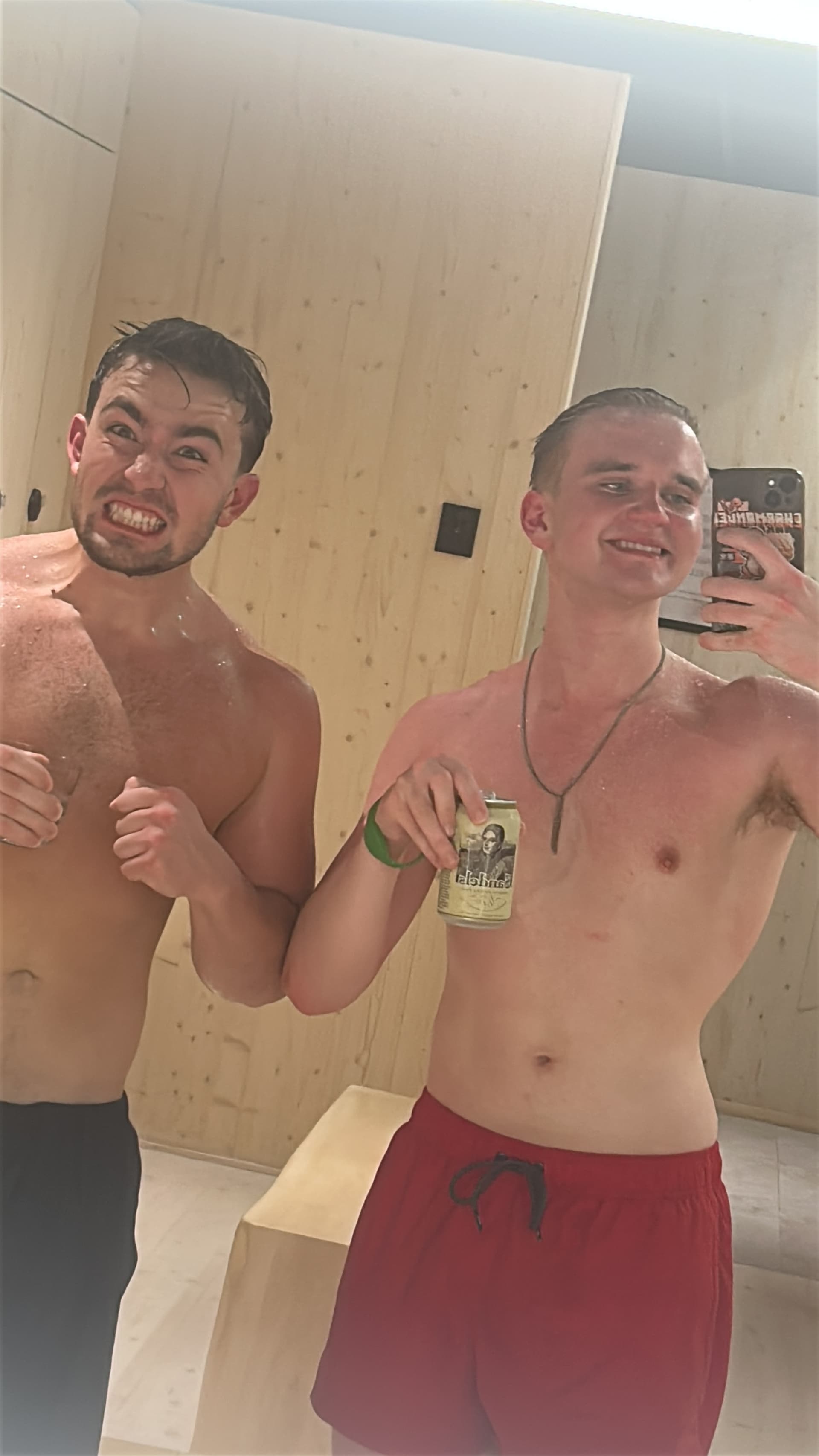 Experience of Aleksanteri Aho